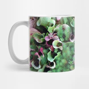 Plant textures Mug